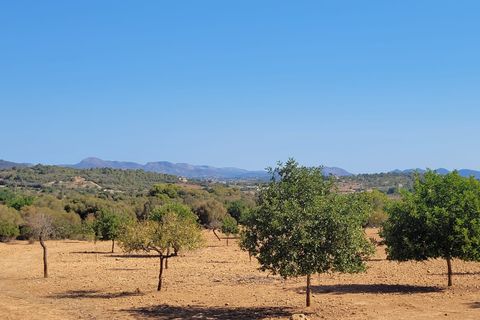 Helårsgrund i Manacor, Mallorca, Manacor - € 390.000 | Ref: 1706 - foto 3